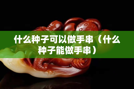 什么种子可以做手串（什么种子能做手串）