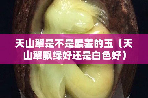 天山翠是不是最差的玉（天山翠飘绿好还是白色好）