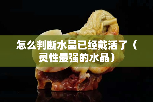 怎么判断水晶已经戴活了（灵性最强的水晶）