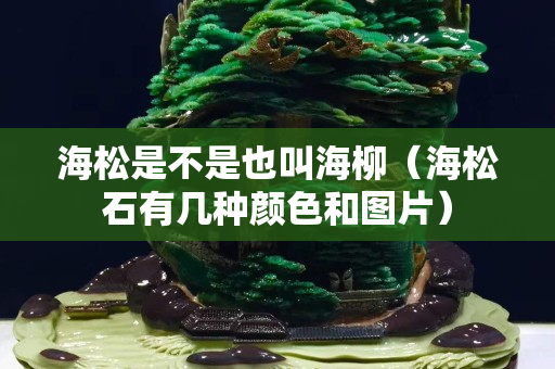 海松是不是也叫海柳（海松石有几种颜色和图片）