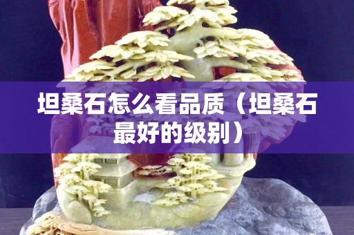 坦桑石怎么看品质（坦桑石最好的级别）