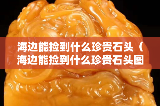 海边能捡到什么珍贵石头（海边能捡到什么珍贵石头图片）