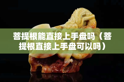 菩提根能直接上手盘吗（菩提根直接上手盘可以吗）