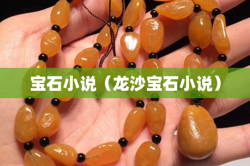 宝石小说（龙沙宝石小说）