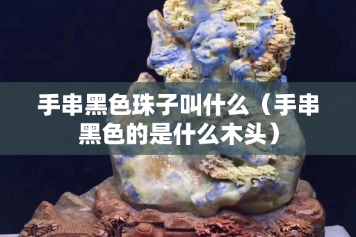手串黑色珠子叫什么（手串黑色的是什么木头）