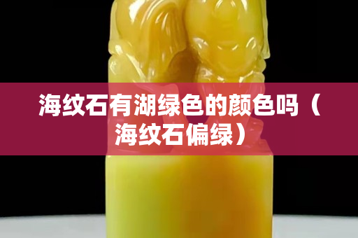 海纹石有湖绿色的颜色吗（海纹石偏绿）