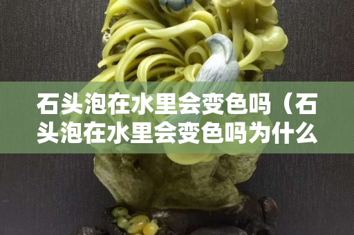 石头泡在水里会变色吗（石头泡在水里会变色吗为什么）