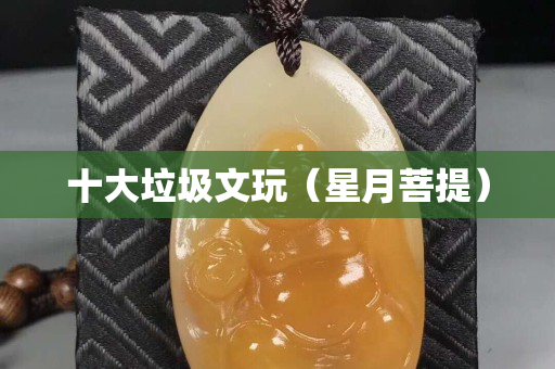 十大垃圾文玩（星月菩提）