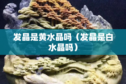 发晶是黄水晶吗（发晶是白水晶吗）