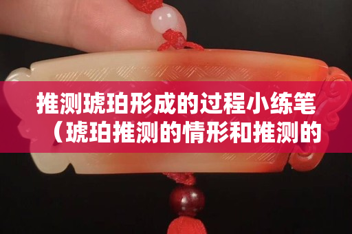 推测琥珀形成的过程小练笔（琥珀推测的情形和推测的依据）