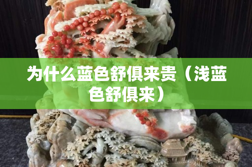 为什么蓝色舒俱来贵（浅蓝色舒俱来）