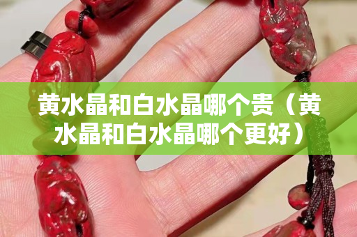 黄水晶和白水晶哪个贵（黄水晶和白水晶哪个更好）