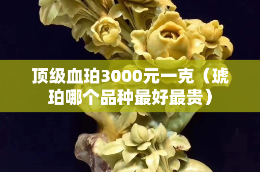 顶级血珀3000元一克（琥珀哪个品种最好最贵）