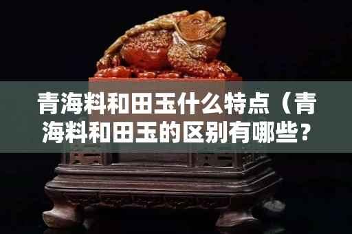 青海料和田玉什么特点（青海料和田玉的区别有哪些？）