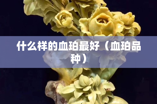 什么样的血珀最好（血珀品种）