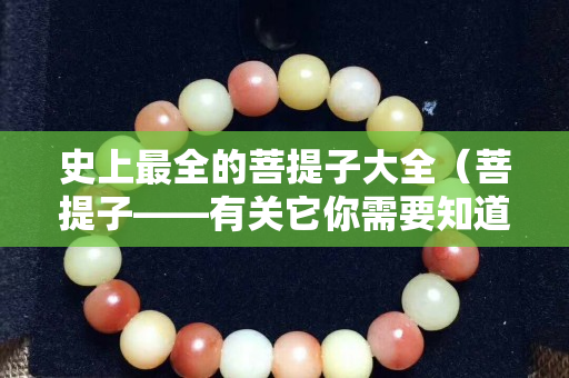 史上最全的菩提子大全（菩提子——有关它你需要知道的一切）