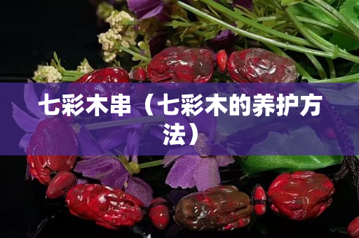 七彩木串（七彩木的养护方法）