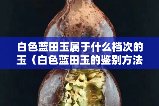 白色蓝田玉属于什么档次的玉（白色蓝田玉的鉴别方法）