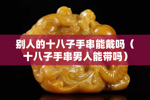 别人的十八子手串能戴吗（十八子手串男人能带吗）