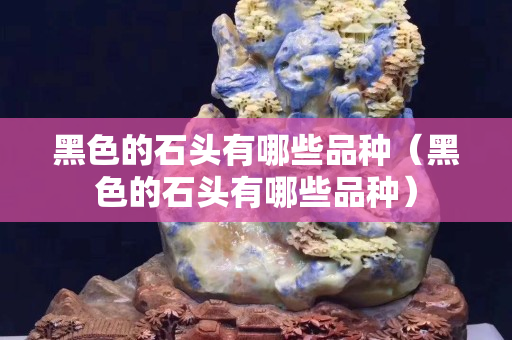 黑色的石头有哪些品种（黑色的石头有哪些品种）