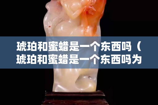 琥珀和蜜蜡是一个东西吗（琥珀和蜜蜡是一个东西吗为什么）