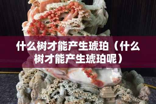 什么树才能产生琥珀（什么树才能产生琥珀呢）