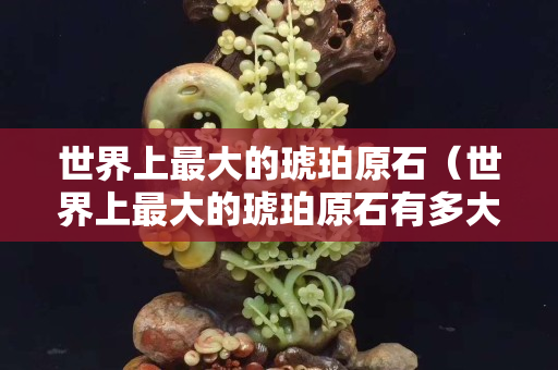世界上最大的琥珀原石（世界上最大的琥珀原石有多大）