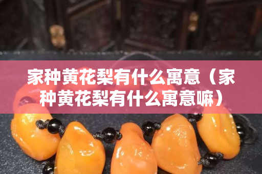 家种黄花梨有什么寓意（家种黄花梨有什么寓意嘛）