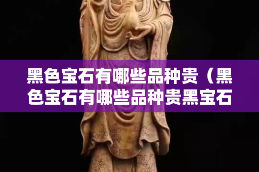 黑色宝石有哪些品种贵（黑色宝石有哪些品种贵黑宝石价格）
