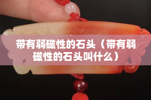 带有弱磁性的石头（带有弱磁性的石头叫什么）