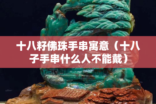 十八籽佛珠手串寓意（十八子手串什么人不能戴）