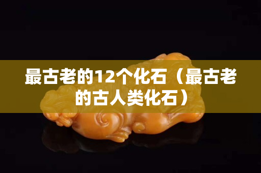 最古老的12个化石（最古老的古人类化石）
