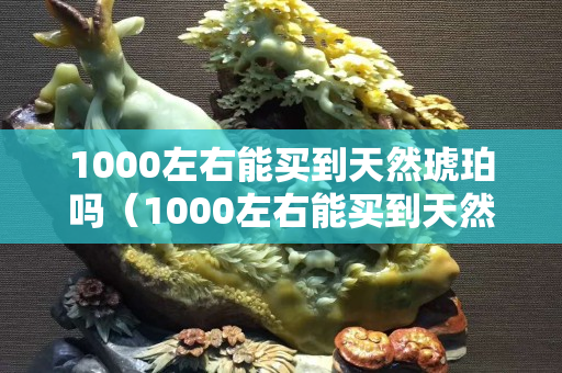 1000左右能买到天然琥珀吗（1000左右能买到天然琥珀吗图片）