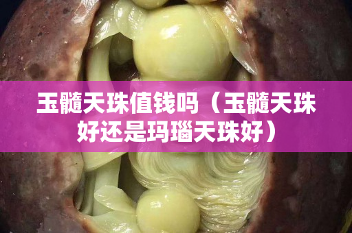 玉髓天珠值钱吗（玉髓天珠好还是玛瑙天珠好）