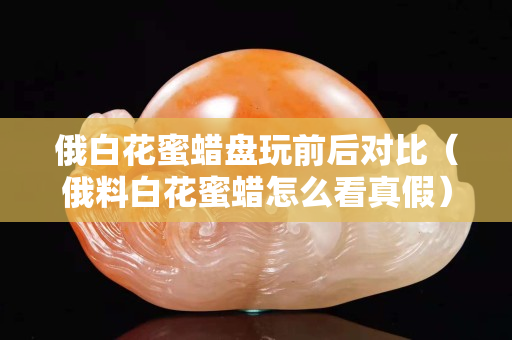 俄白花蜜蜡盘玩前后对比（俄料白花蜜蜡怎么看真假）