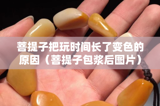 菩提子把玩时间长了变色的原因（菩提子包浆后图片）