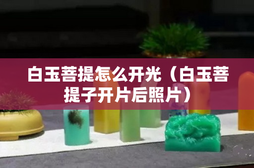 白玉菩提怎么开光（白玉菩提子开片后照片）