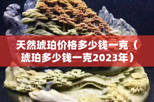 天然琥珀价格多少钱一克（琥珀多少钱一克2023年）