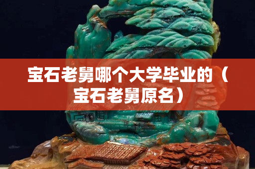 宝石老舅哪个大学毕业的（宝石老舅原名）