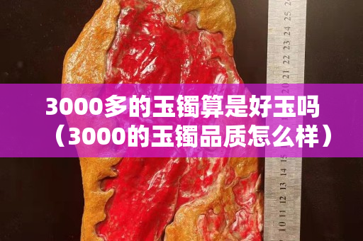 3000多的玉镯算是好玉吗（3000的玉镯品质怎么样）