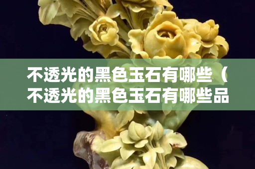 不透光的黑色玉石有哪些（不透光的黑色玉石有哪些品种）