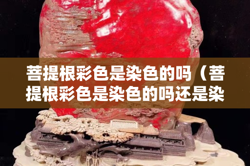 菩提根彩色是染色的吗（菩提根彩色是染色的吗还是染色）