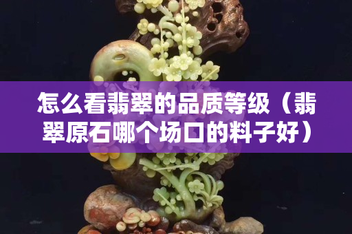 怎么看翡翠的品质等级（翡翠原石哪个场口的料子好）