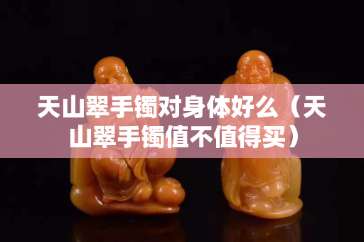 天山翠手镯对身体好么（天山翠手镯值不值得买）