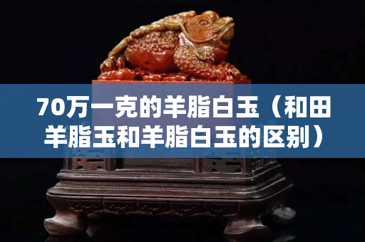 70万一克的羊脂白玉（和田羊脂玉和羊脂白玉的区别）