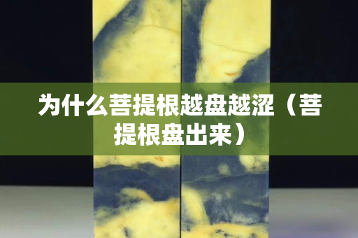 为什么菩提根越盘越涩（菩提根盘出来）