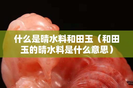 什么是晴水料和田玉（和田玉的晴水料是什么意思）
