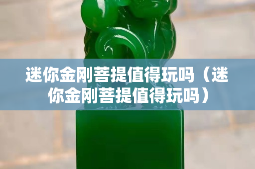 迷你金刚菩提值得玩吗（迷你金刚菩提值得玩吗）