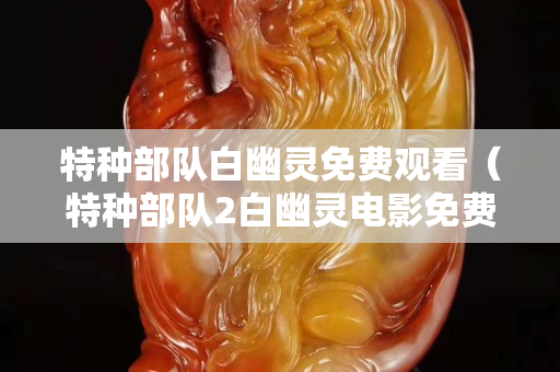 特种部队白幽灵免费观看（特种部队2白幽灵电影免费观看）