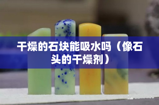 干燥的石块能吸水吗（像石头的干燥剂）